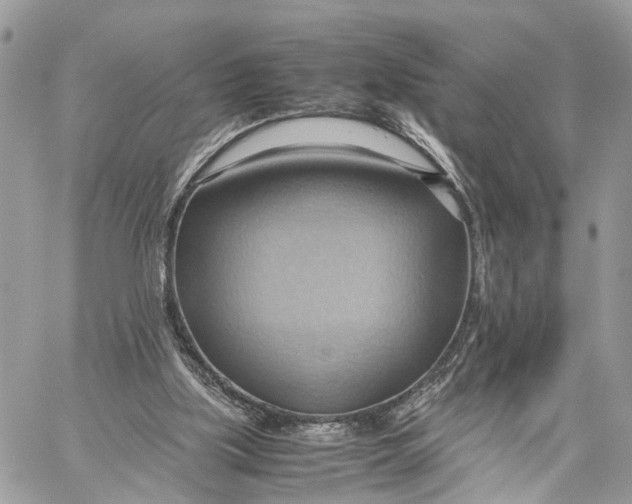X0000057580059200510071620
