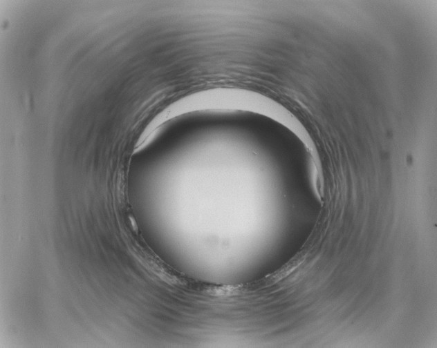 X0000057580092200510071620