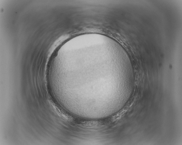 X0000057580104200510071620