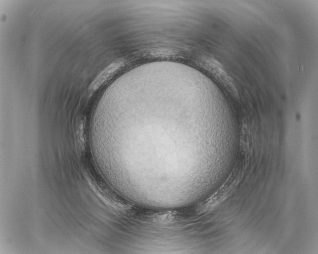 X0000057580116200510071619