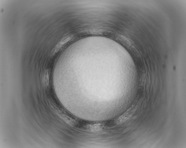 X0000057580120200510071619