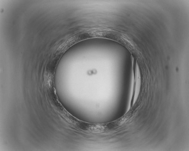 X0000057580125200510071619