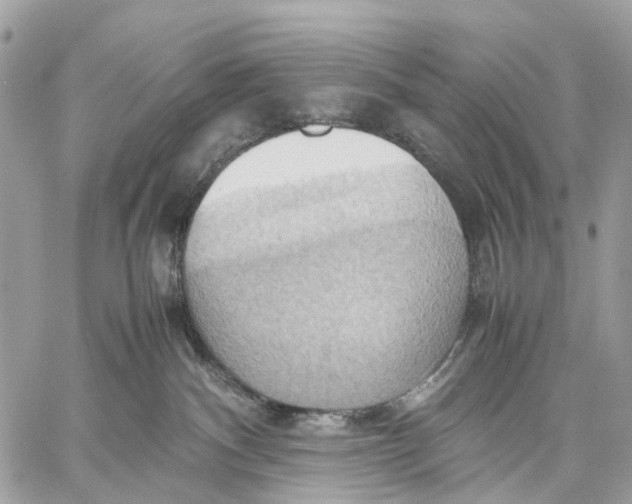 X0000057580140200510071619