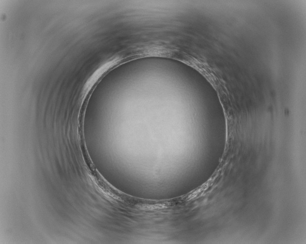 X0000057580147200510071618