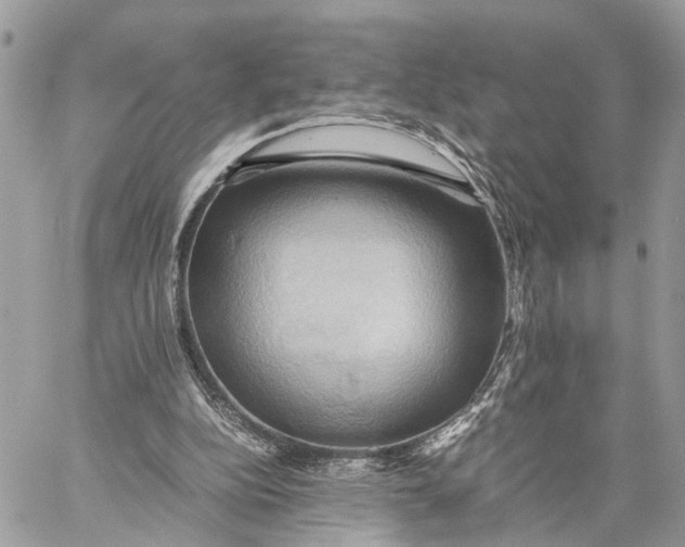 X0000057580152200510071618