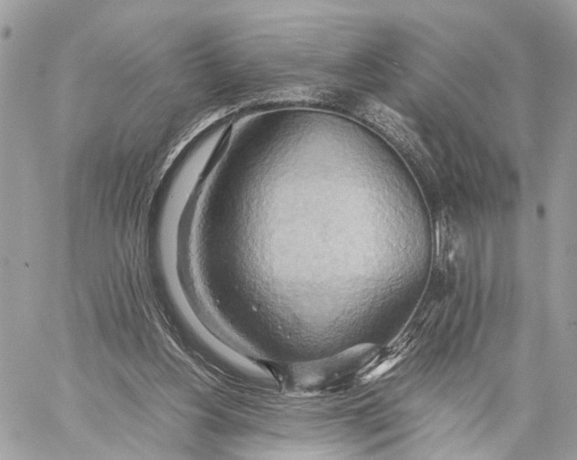 X0000057580156200510071618