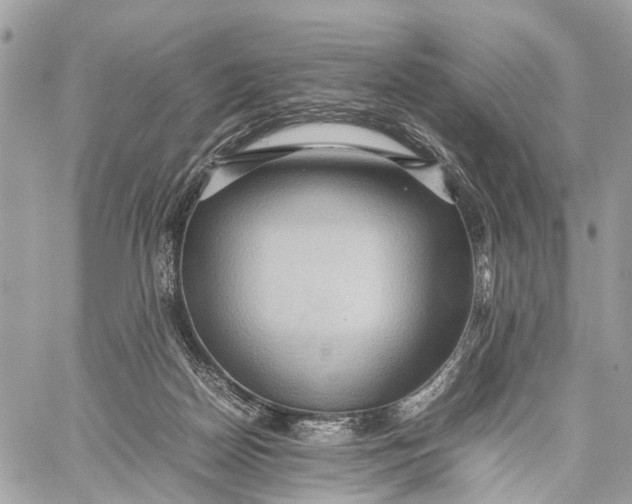 X0000057580170200510071618