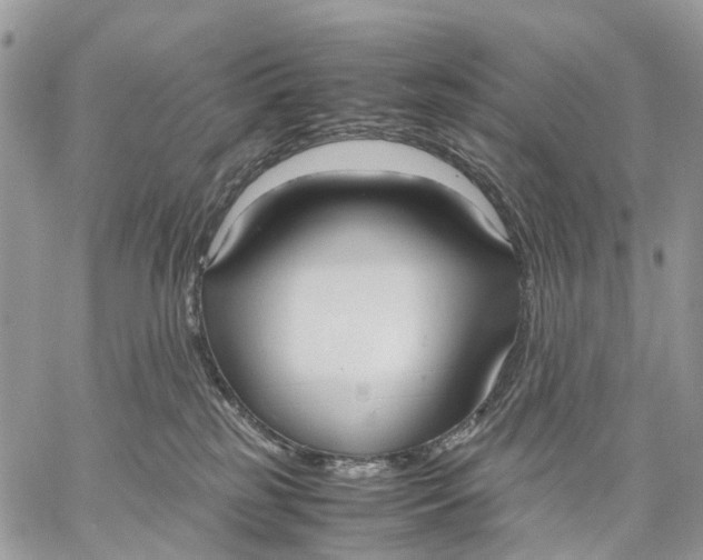 X0000057580185200510071619