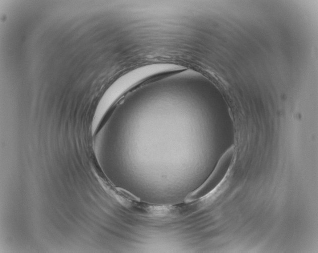 X0000057580192200510071619