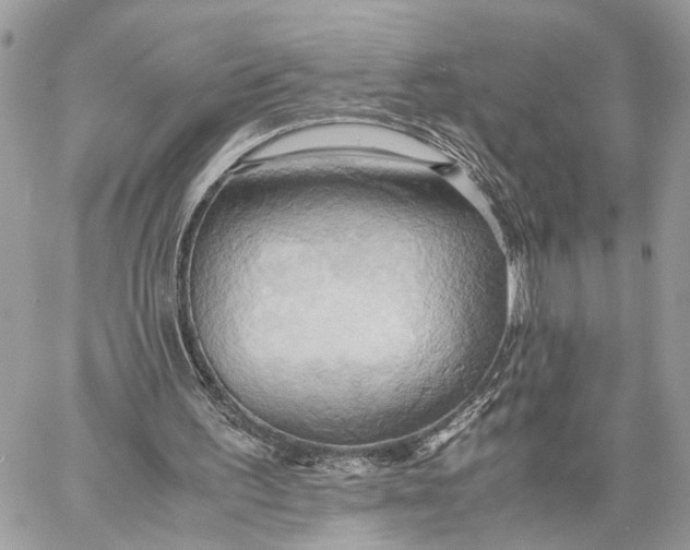 X0000057580195200510071618
