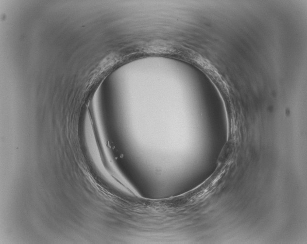 X0000057580201200510071618