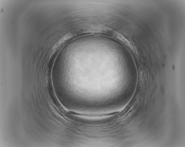X0000057580203200510071618