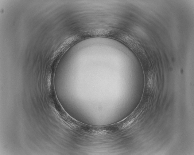 X0000057580206200510071618