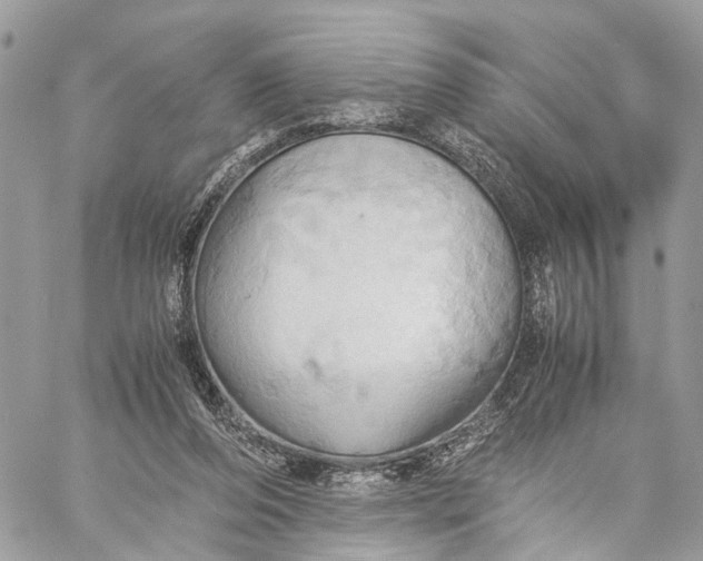 X0000057580208200510071618