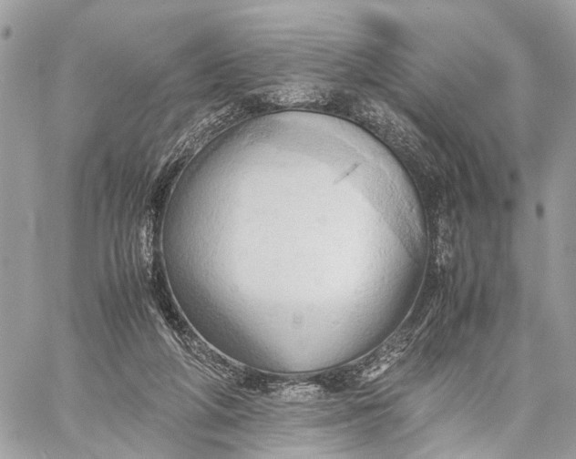 X0000057580210200510071618