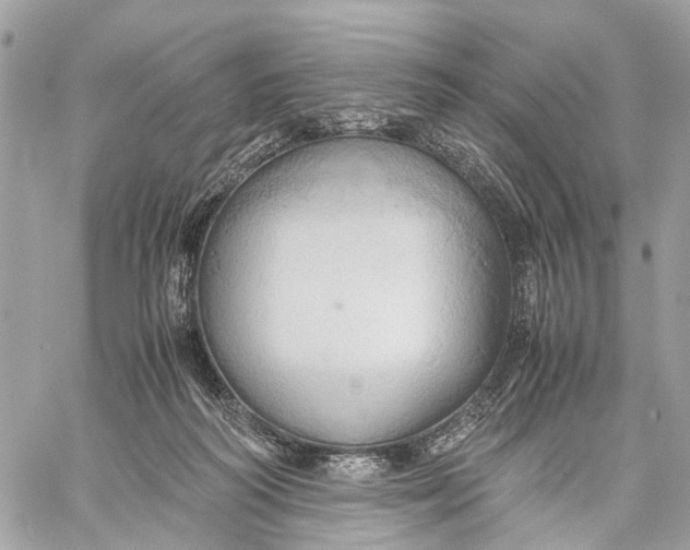 X0000057580218200510071618