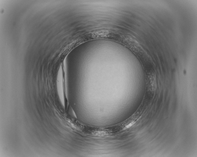X0000057580224200510071618