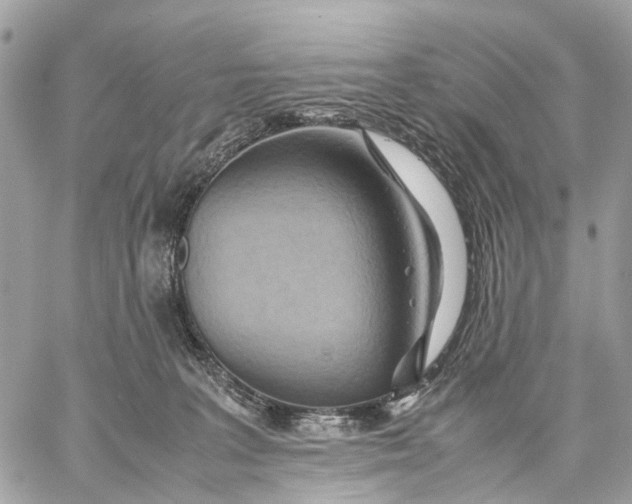 X0000057580227200510071617