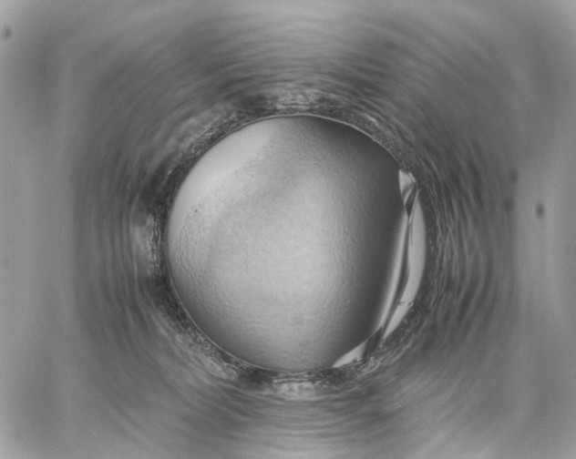 X0000057580228200510071617