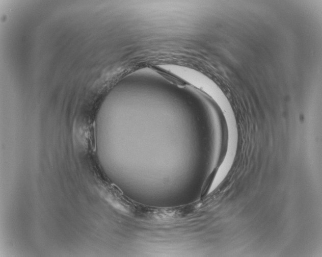 X0000057580235200510071617