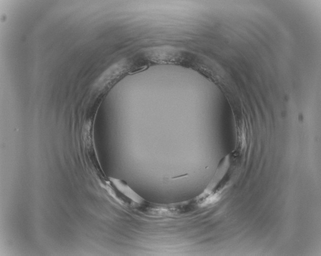 X0000057580239200510071617