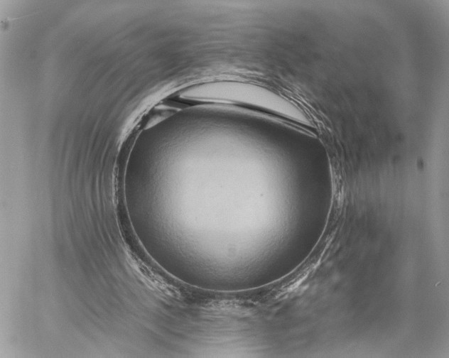 X0000057580244200510071616