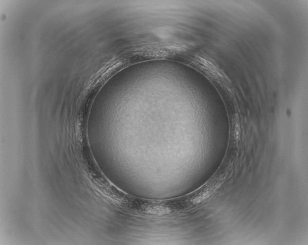 X0000057580258200510071617
