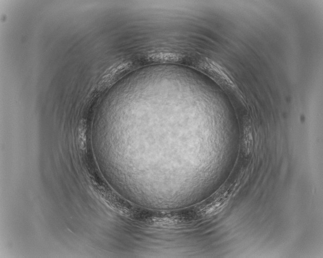 X0000057580259200510071617