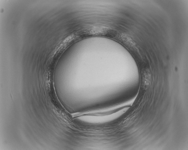X0000057580260200510071617