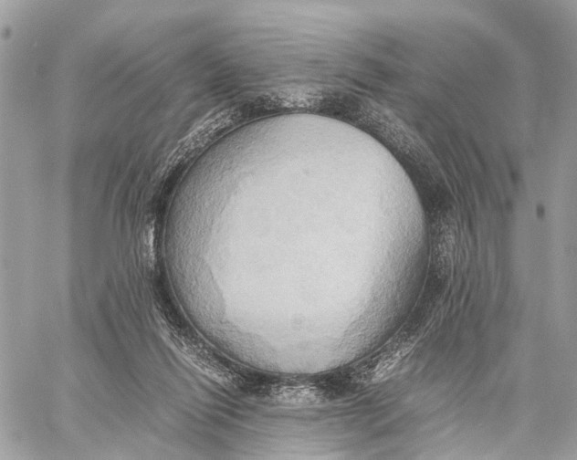 X0000057580262200510071617