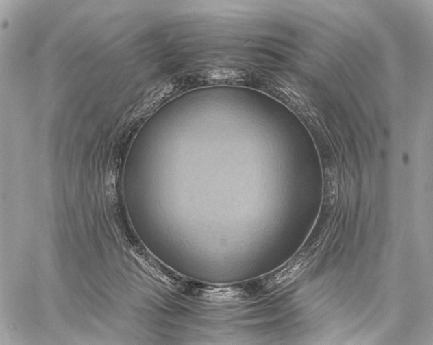 X0000057580269200510071617