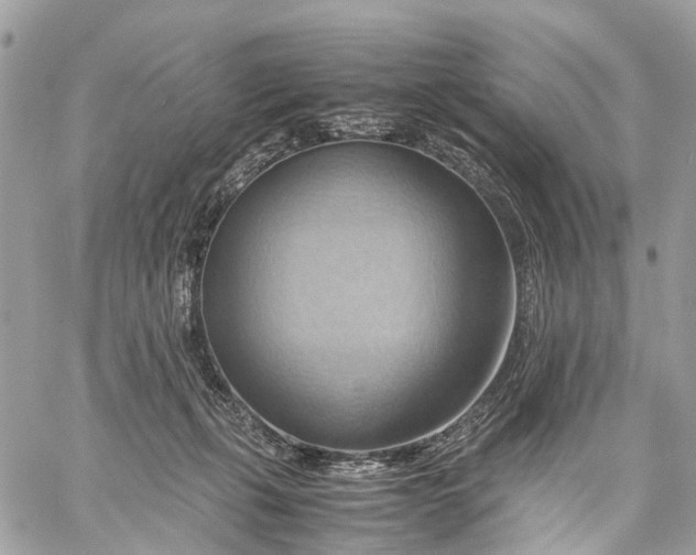 X0000057580271200510071617