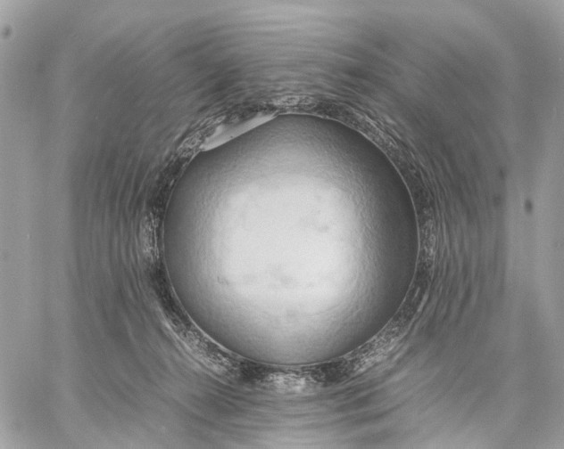 X0000057580272200510071617