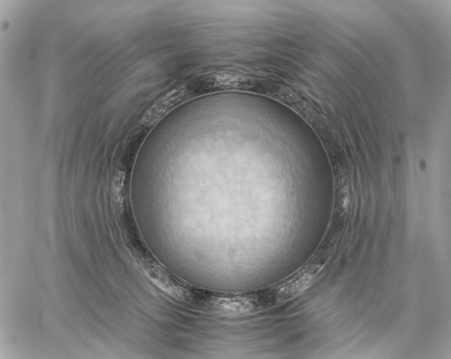 X0000057580275200510071617