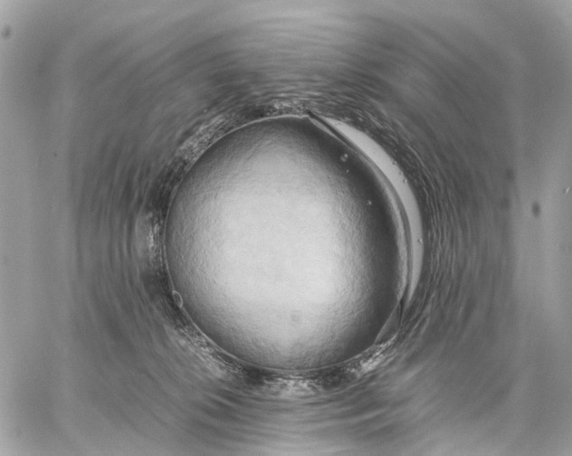 X0000057580276200510071617