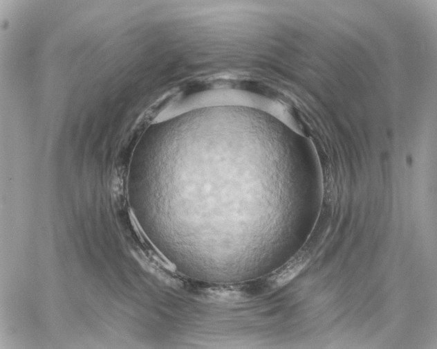 X0000057580284200510071617