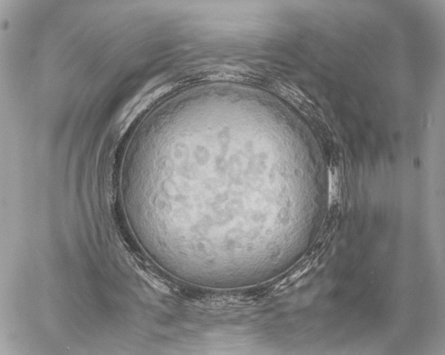 X0000057580291200510071616
