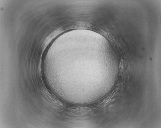 X0000057580292200510071616