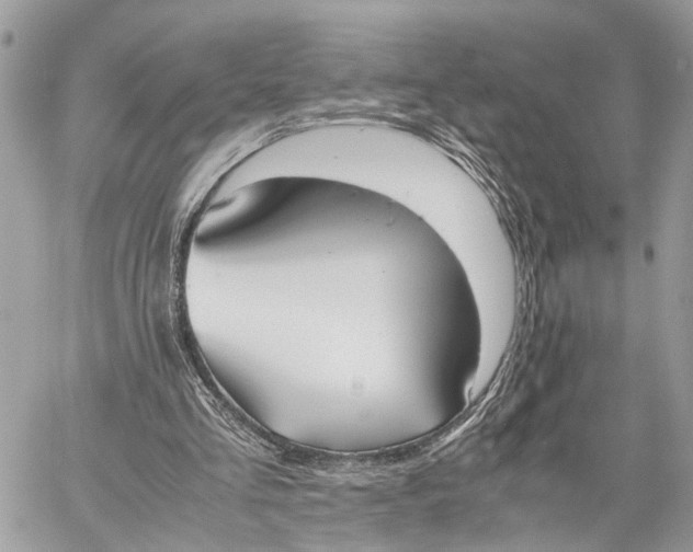X0000057580293200510071616