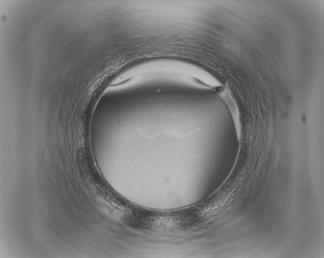 X0000057580303200510071616