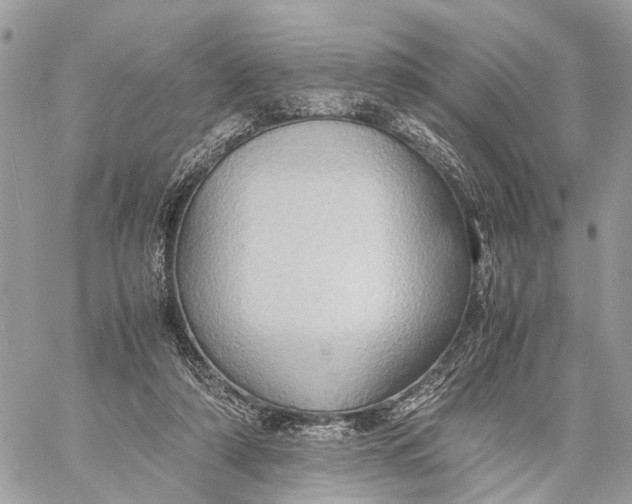 X0000057580306200510071616