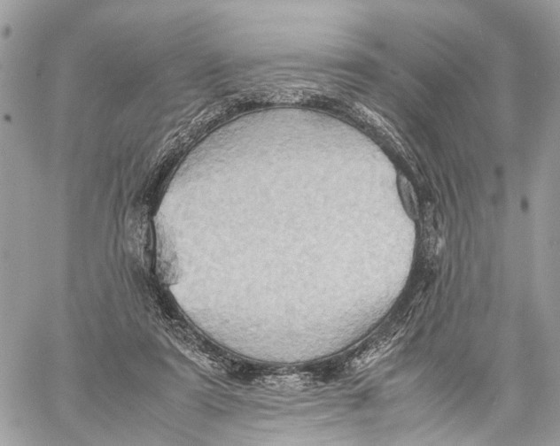 X0000057580307200510071616