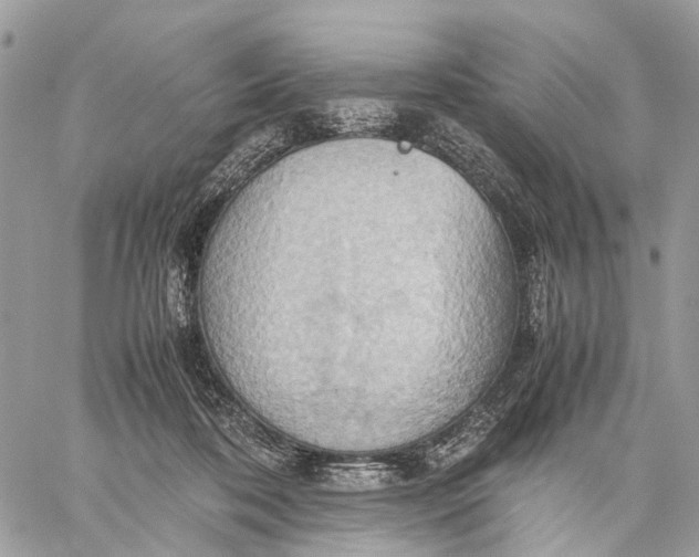 X0000057580316200510071616