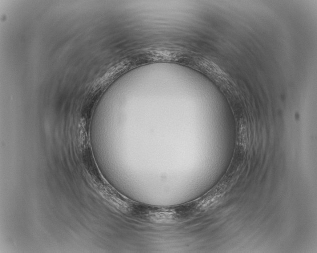 X0000057580318200510071616