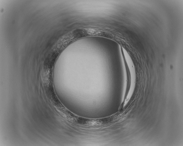 X0000057580319200510071616