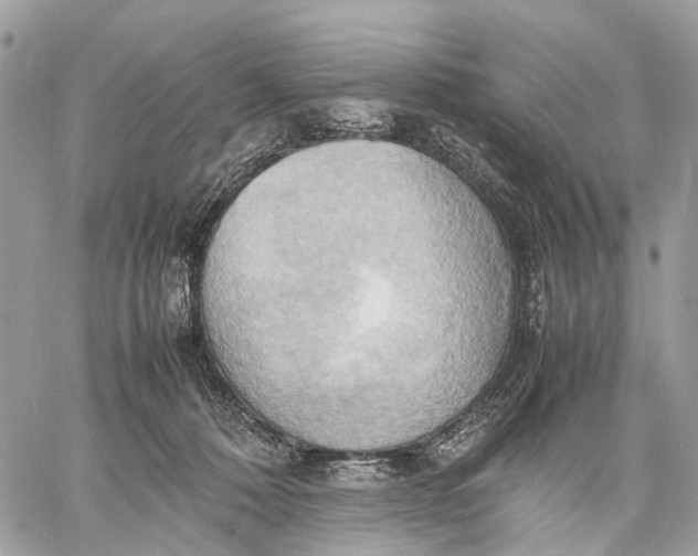 X0000057580320200510071616