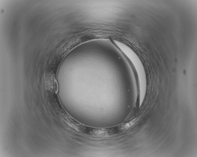 X0000057580325200510071616