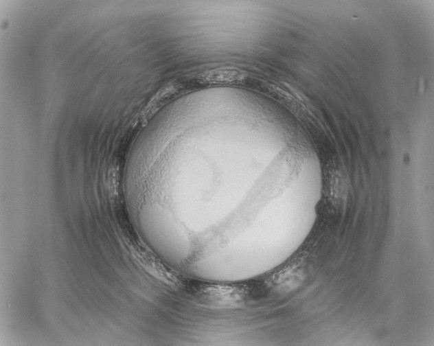 X0000057580326200510071616