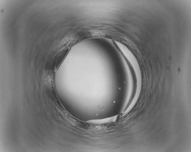 X0000057580329200510071616