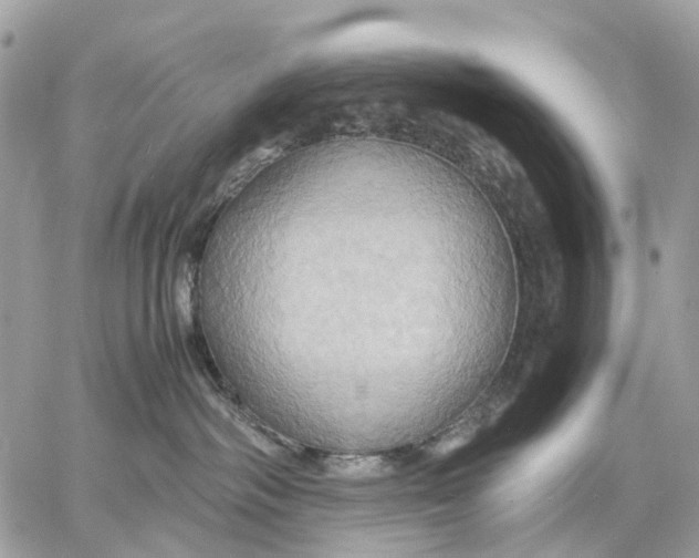 X0000057580334200510071616